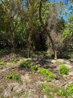 EXCEPTIONAL CORNER LOT IN PRIME CAYMAN BRAC LOCATION - READY TO BUILD