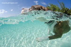 Best Beach in the Caribbean: Readers’ Choice Awards 2016!