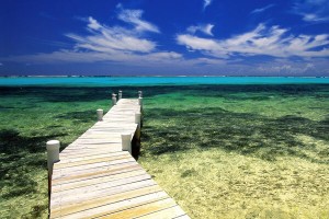 THE CAYMAN TAX ADVANTAGE