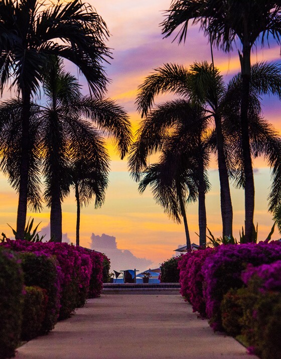 Widen your search to Miles More Cayman Real Estate Listings