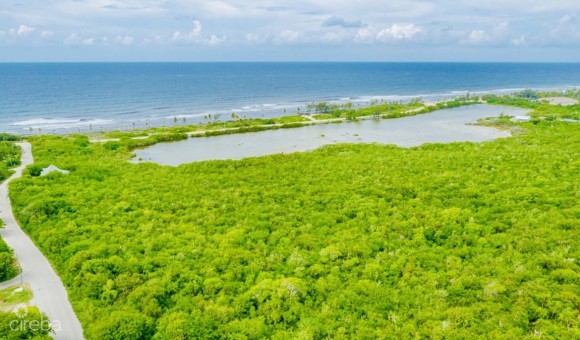 ALEXANDER GROVE SUBDIVISION - CAYMAN BRAC - READY TO BUILD NOW!