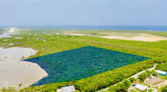 ALEXANDER GROVE SUBDIVISION - CAYMAN BRAC - READY TO BUILD NOW!