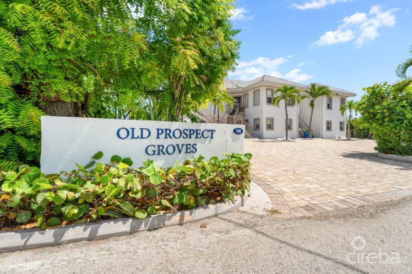 OLD PROSPECT GROVES - OCEANFRONT RESIDENCE #11