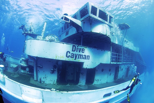 Cayman_kittiwake_diving